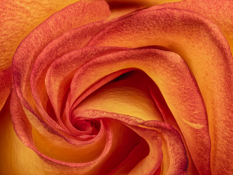 2022-11-16-12.53.52 ZS PMax_openWith.jpg