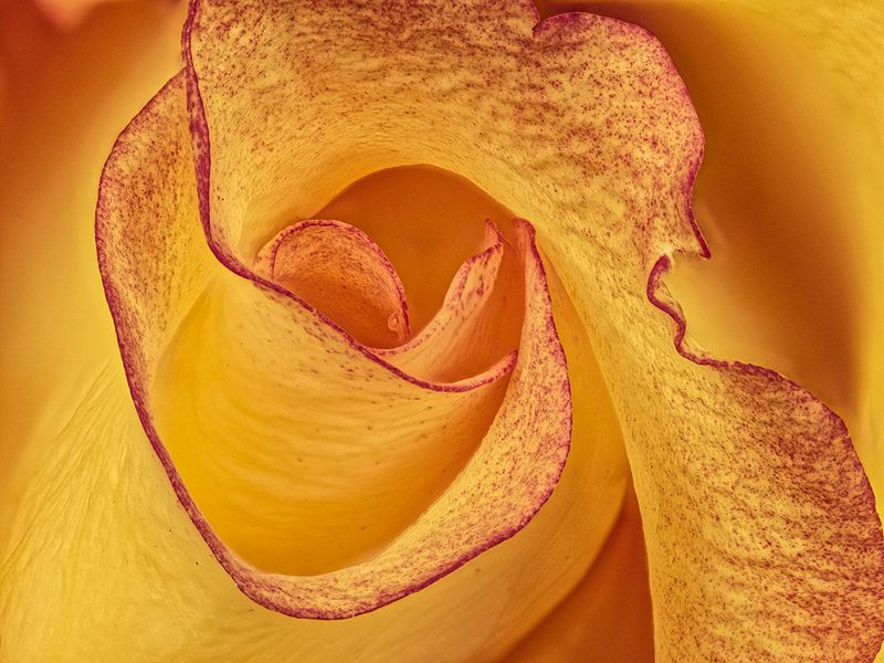 2022-11-16-02.43.55 ZS PMax_openWith.jpg