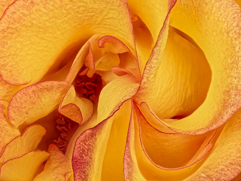 2022-11-17-12.25.15 ZS PMax_openWith.jpg