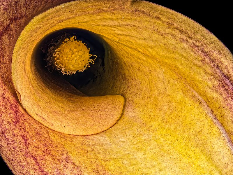 2022-11-19-03.19.14 ZS PMax_openWith.jpg