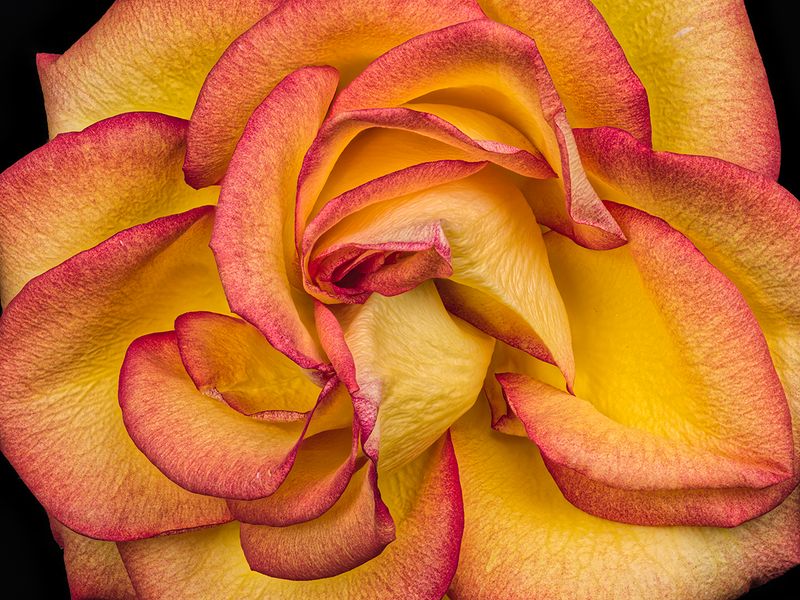 2022-11-20-05.01.17 ZS PMax_openWith.jpg