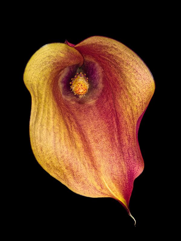 2022-11-23-10.08.12 ZS PMax_openWith.jpg