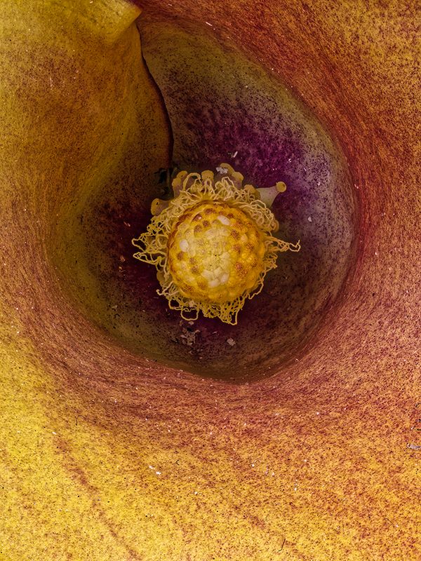 2022-11-24-01.20.25 ZS PMax_openWith.jpg