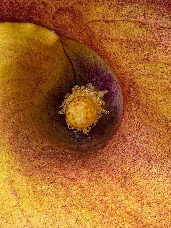 2022-11-24-09.37.06 ZS PMax_openWith.jpg