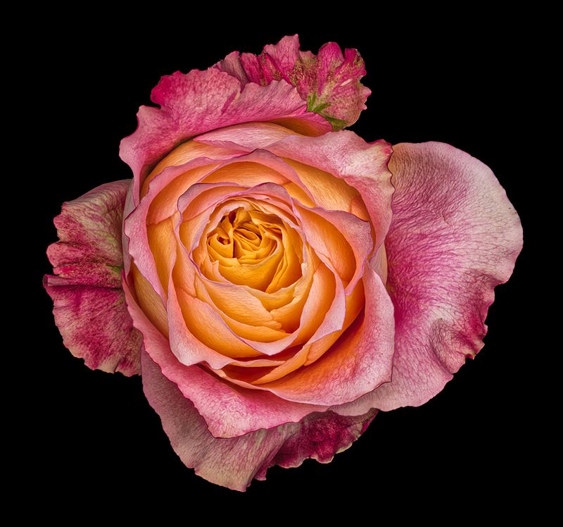 2022-12-01-09.35.59 ZS PMax_openWith_1.jpg