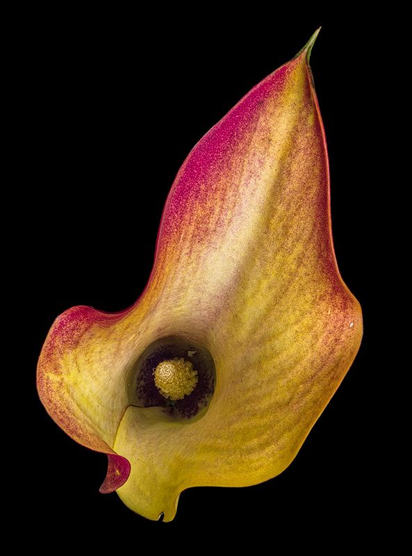 2022-11-30-01.58.48 ZS PMax_openWith.jpg