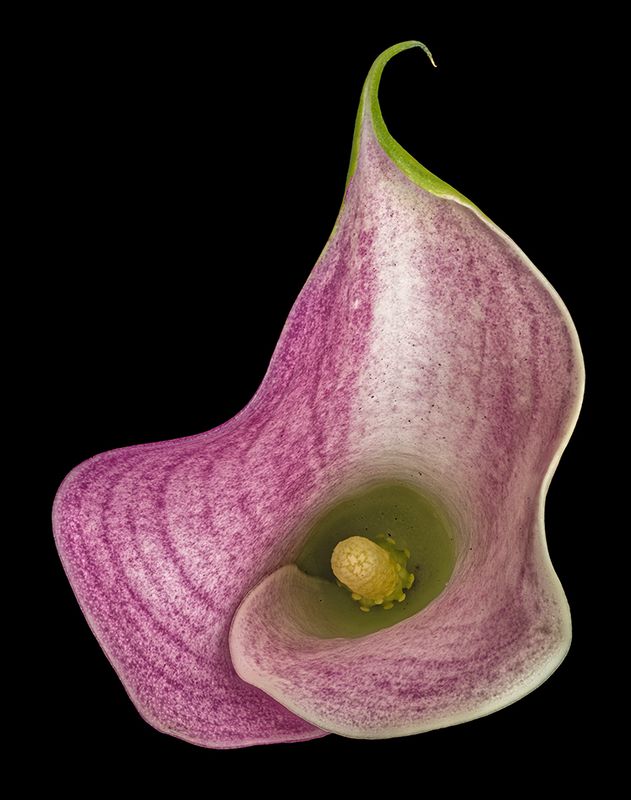 2022-12-07-02.54.58 ZS PMax_openWith.jpg
