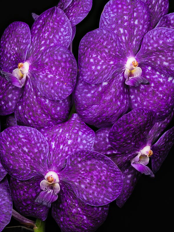 2023-01-20-01.54.09 ZS PMax_openWith.jpg