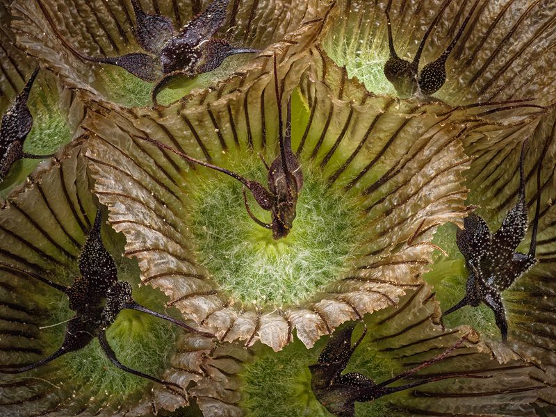 2023-01-21-11.02.41 ZS PMax_openWith.jpg