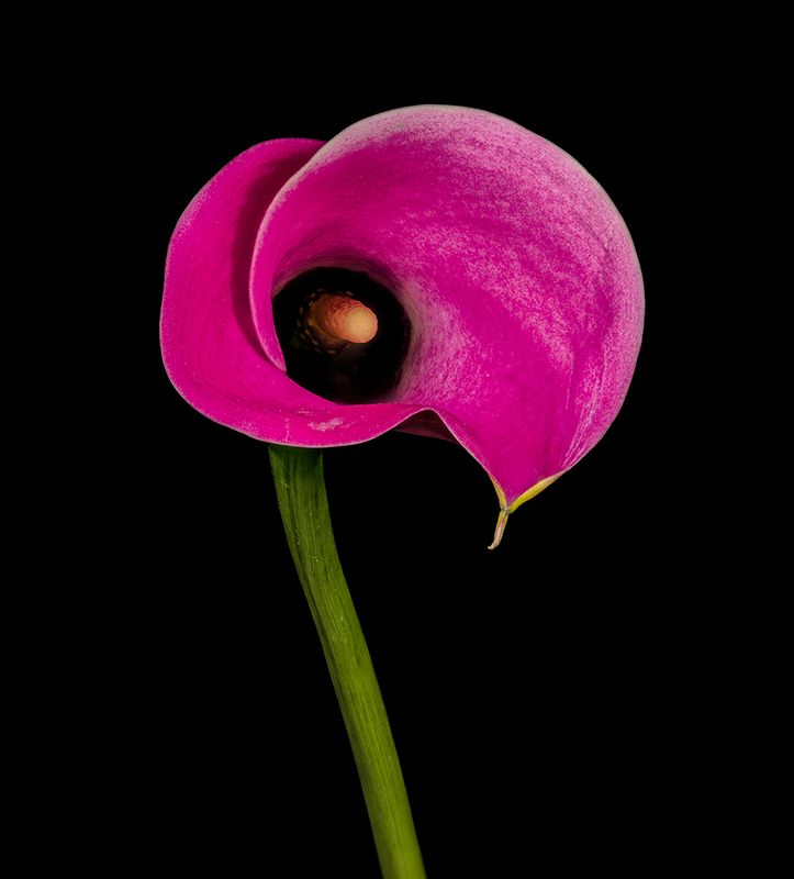 2023-02-01-10.30.37 ZS PMax_openWith.jpg