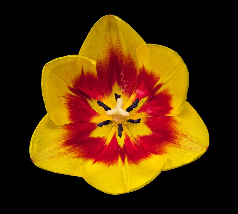 2023-02-03-09.06.14 ZS PMax_openWith.jpg