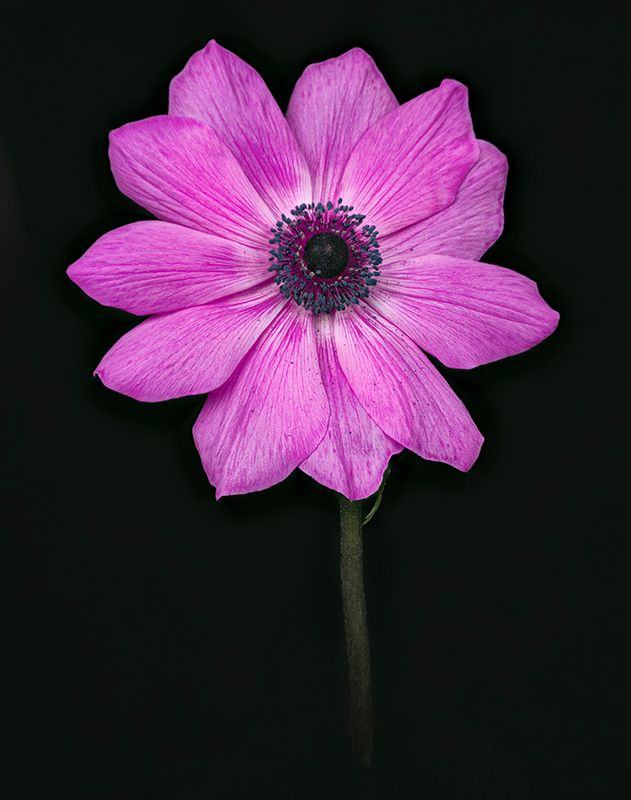 2023-02-05-12.48.09 ZS PMax_openWith.jpg