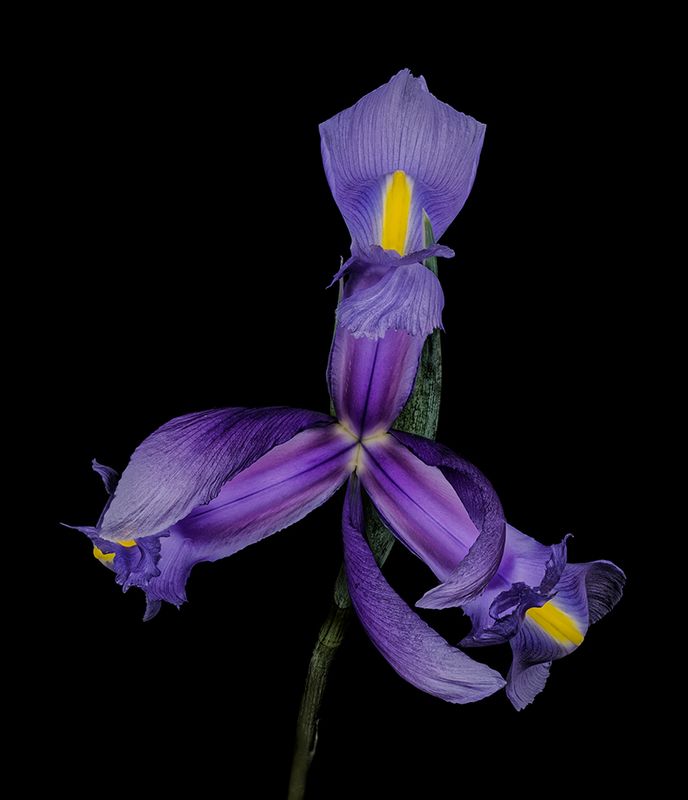 2023-02-08-10.08.31 ZS PMax_openWith.jpg