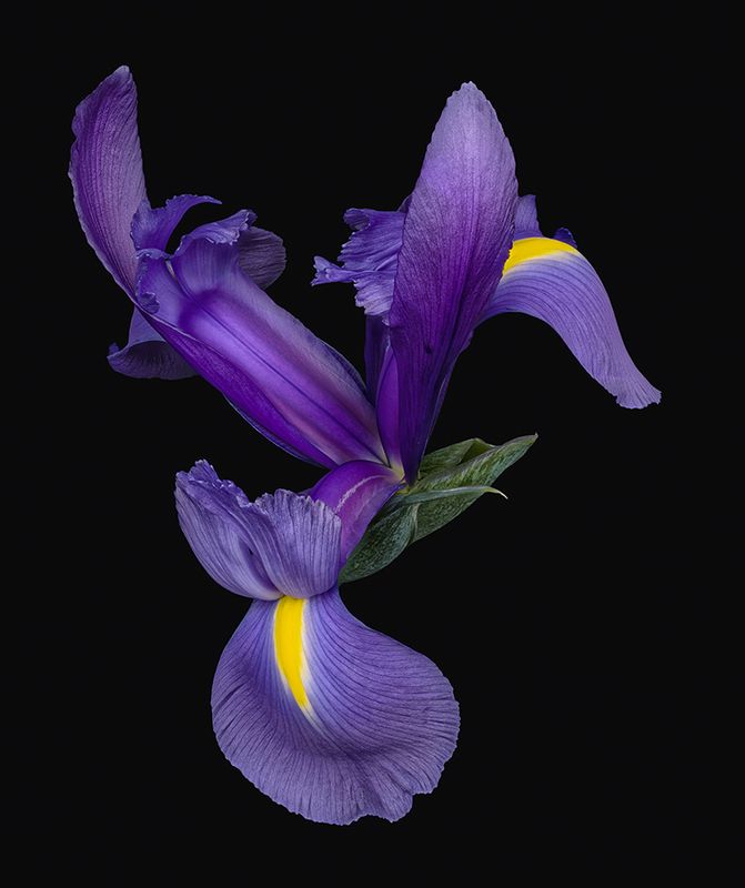 2023-02-08-11.12.22 ZS PMax_openWith.jpg