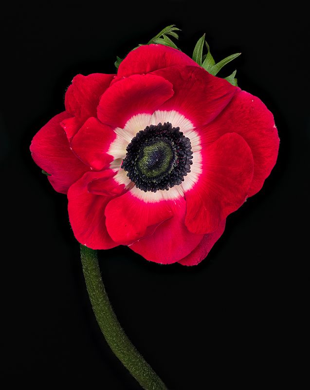 2023-02-08-02.46.51 ZS PMax_openWith.jpg