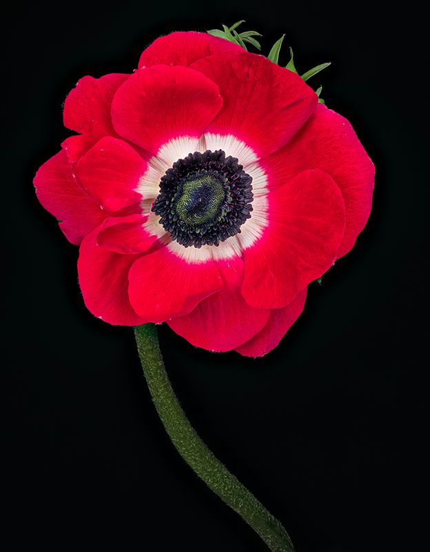 2023-02-08-03.19.31 ZS PMax_openWith.jpg