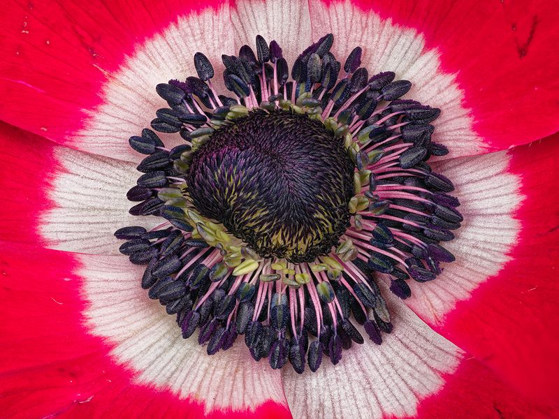 2023-02-09-12.42.36 ZS PMax_openWith.jpg