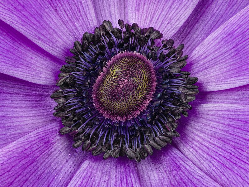2023-02-21-11.09.20 ZS PMax_openWith.jpg