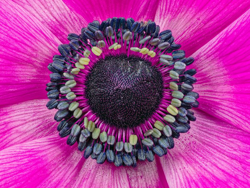 2023-03-11-12.11.40 ZS PMax_openWith.jpg