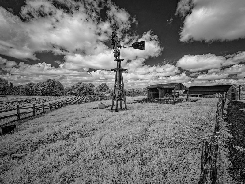 _DSC7687_openWith.jpg