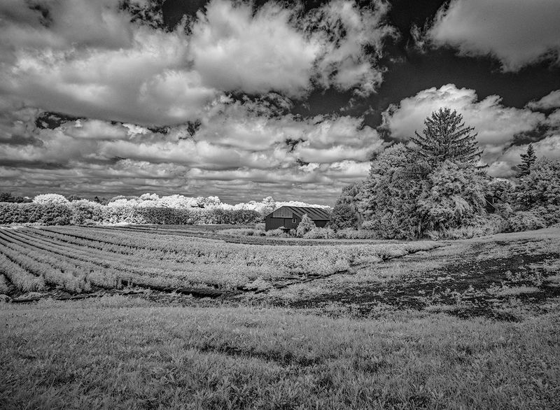 _DSC7690_openWith.jpg