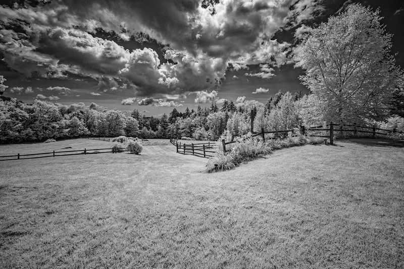 _DSC7701_openWith.jpg