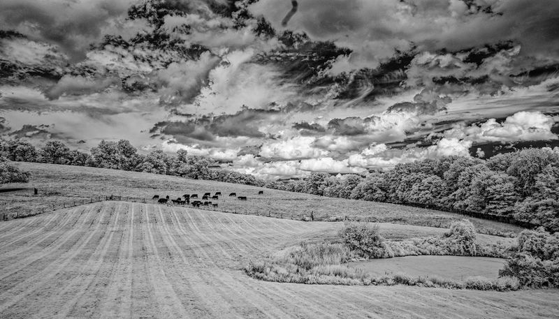 _DSC7765_openWith.jpg