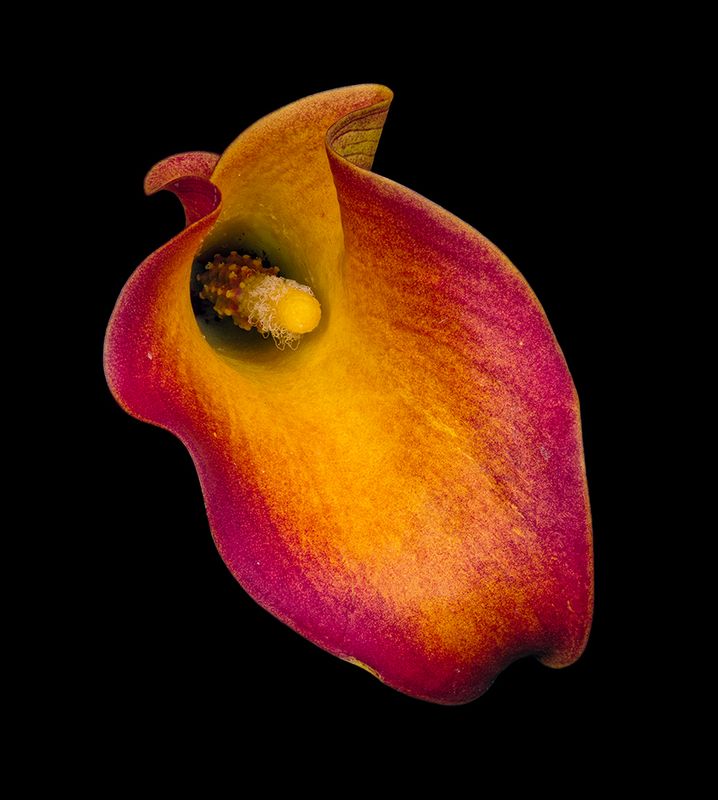 2023-10-06-12.51.01 ZS PMax_openWith.jpg