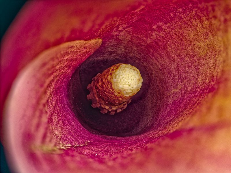 2023-10-23-01.47.14 ZS PMax_openWith.jpg