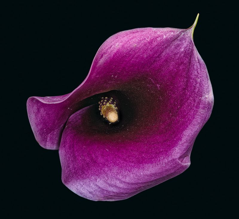 2023-10-31-04.54.53 ZS PMax_openWith.jpg