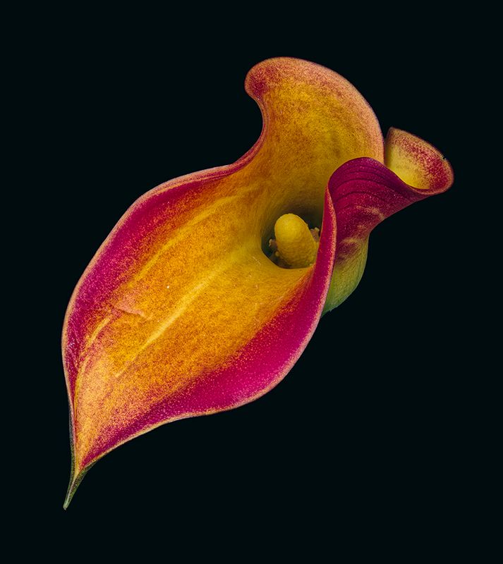 2023-11-08-03.50.00 ZS PMax_openWith.jpg