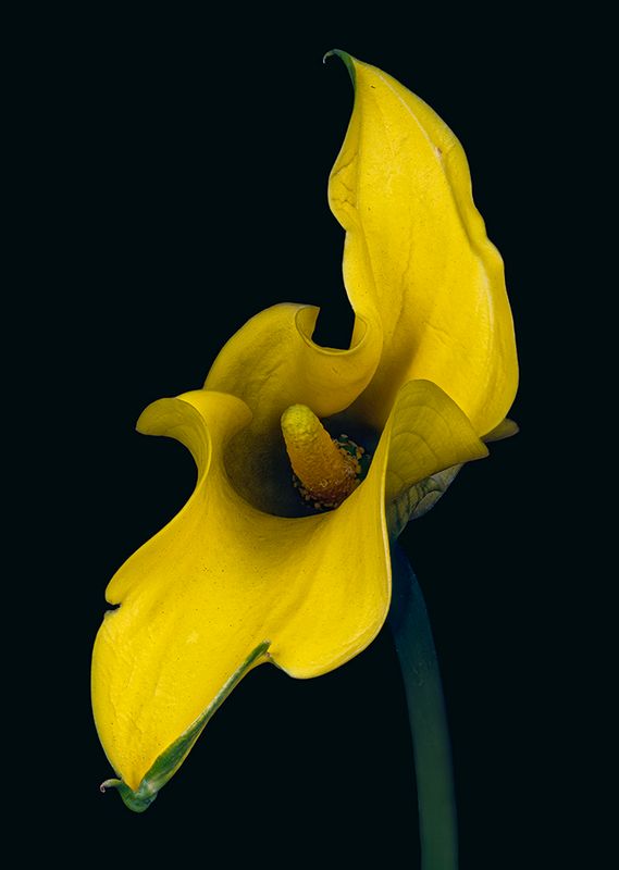 2023-11-08-04.15.22 ZS PMax_openWith.jpg