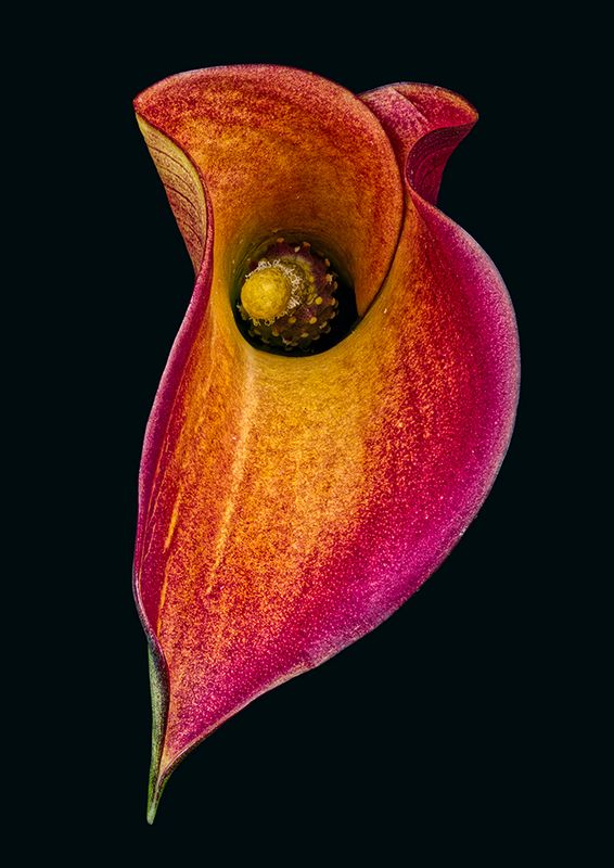 2023-11-11-12.50.51 ZS PMax_openWith.jpg