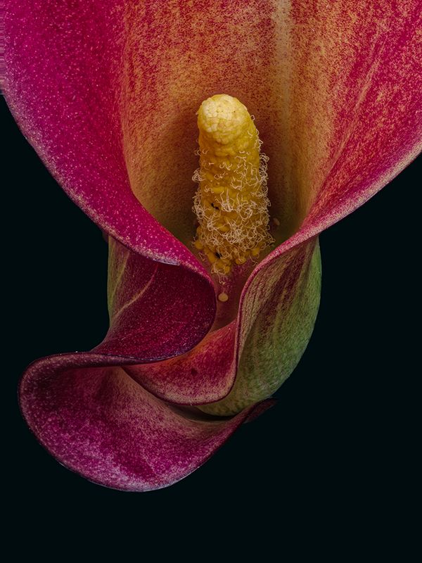 2023-11-14-11.42.28 ZS PMax_openWith.jpg