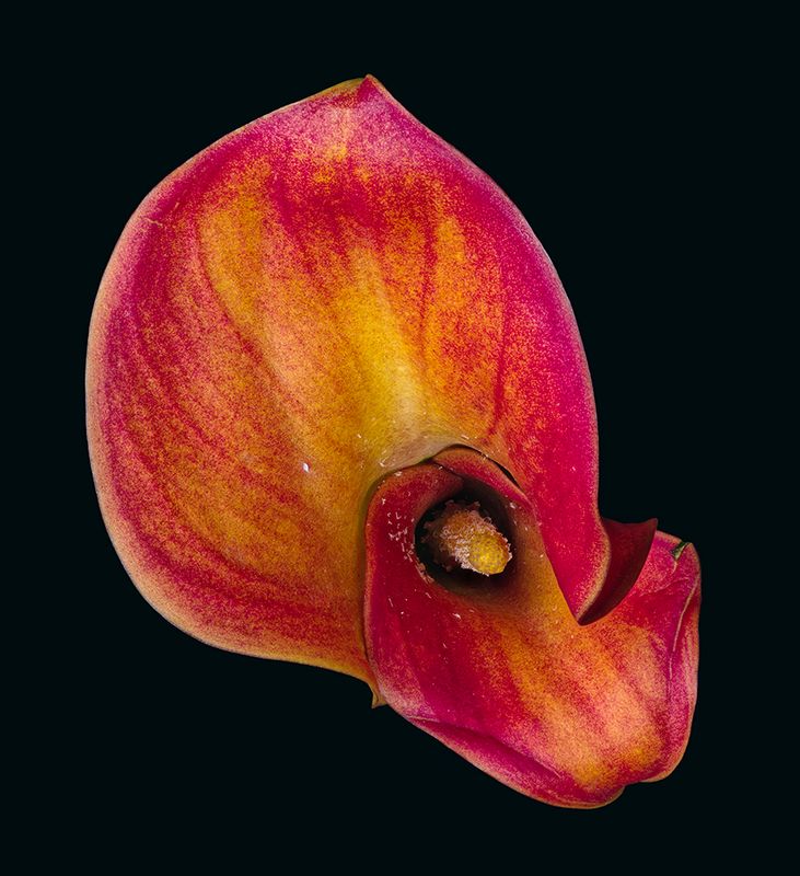 2023-11-15-11.18.03 ZS PMax_openWith.jpg