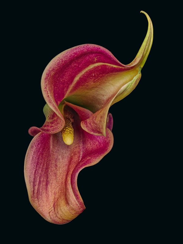 2023-11-18-04.00.36 ZS PMax_openWith.jpg