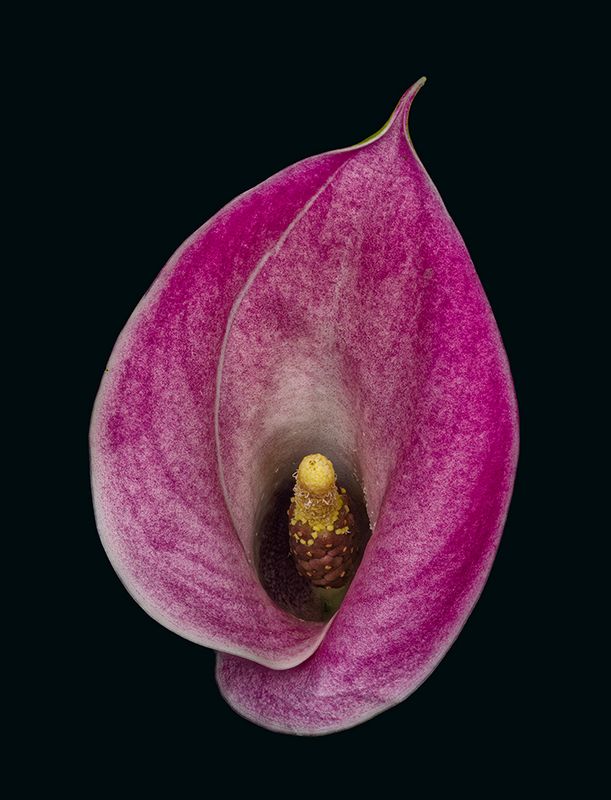 2023-11-25-04.18.01 ZS PMax_openWith.jpg