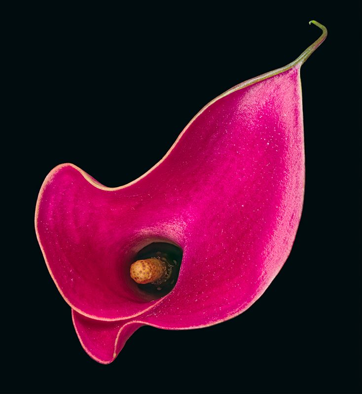 2023-11-27-04.58.26 ZS PMax_openWith.jpg