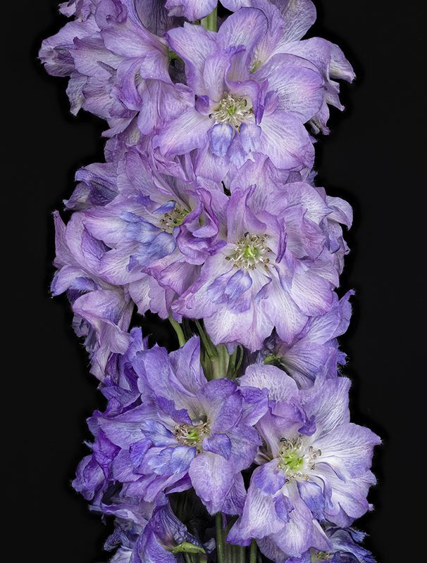 2024-01-06-01.22.18 ZS PMax_openWith.jpg