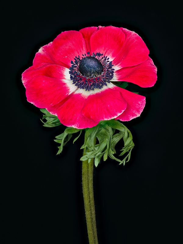 2024-01-17-10.41.24 ZS PMax_openWith.jpg