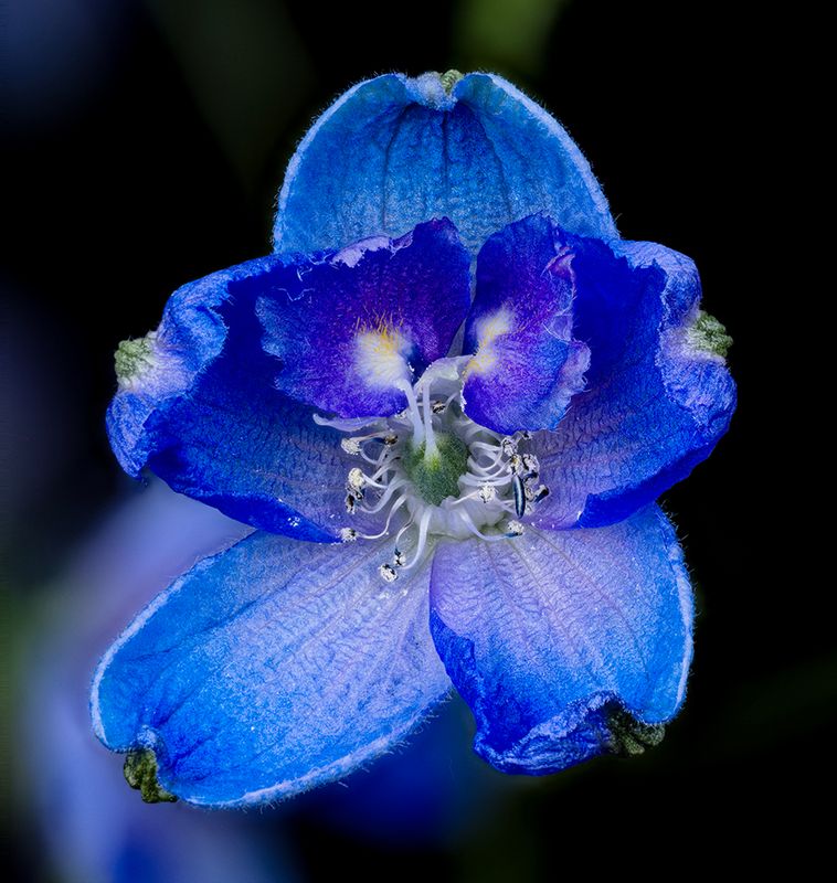 2024-01-25-12.18.31 ZS PMax_openWith.jpg