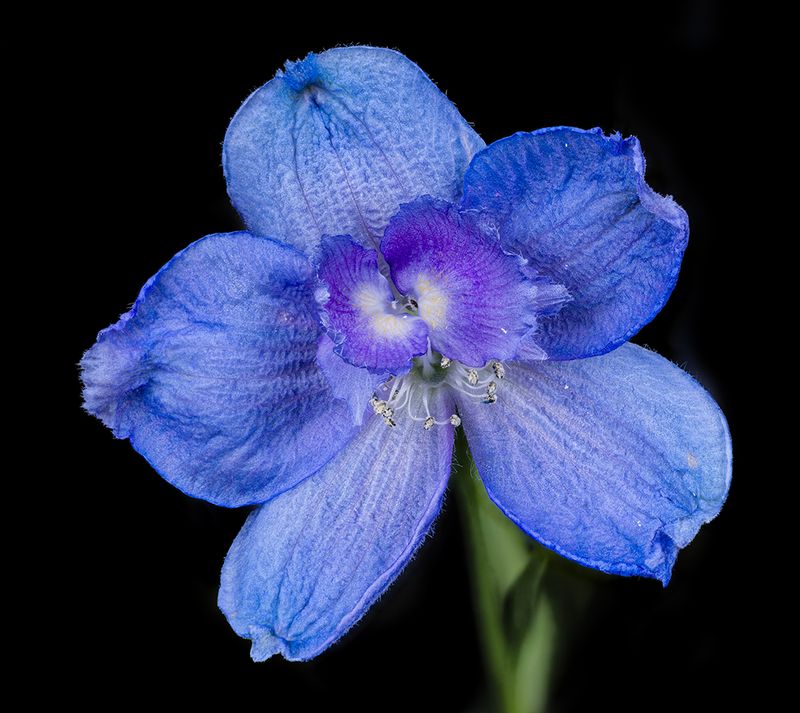 2024-01-25-10.58.36 ZS PMax_openWith_1.jpg