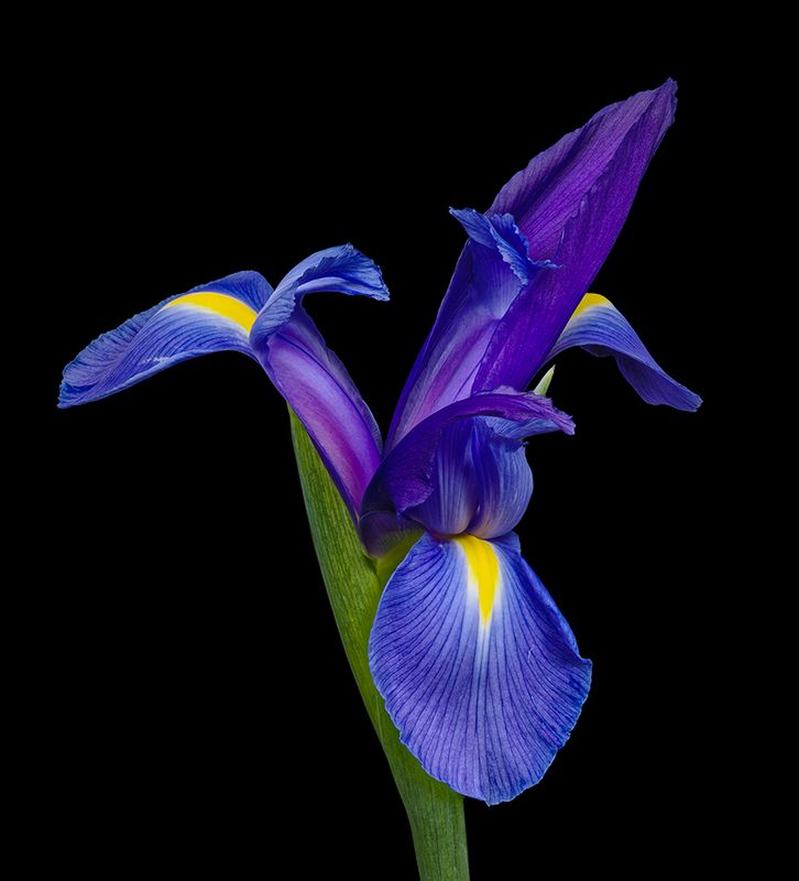 2024-02-01-10.55.38 ZS PMax_openWith.jpg