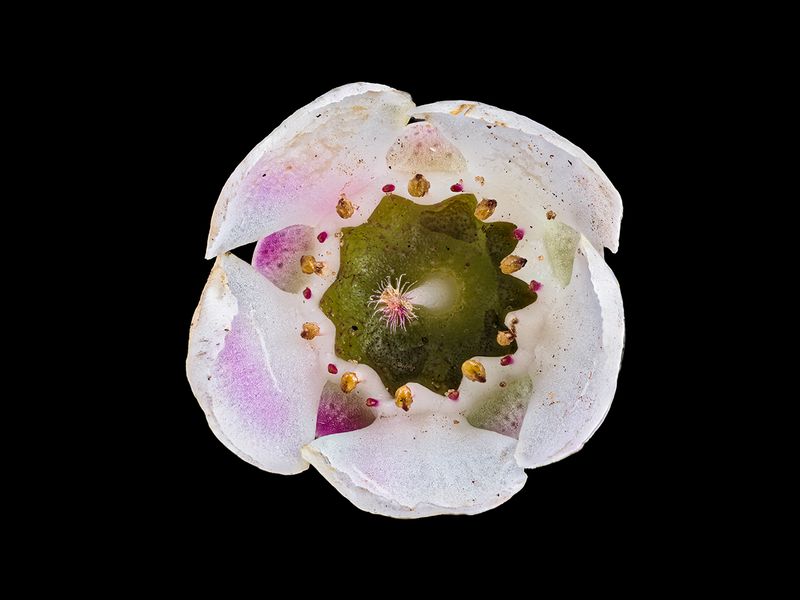 2024-02-01-01.56.01 ZS PMax_openWith.jpg