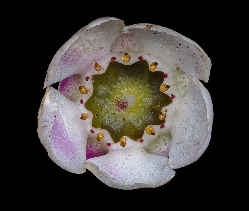 2024-02-01-02.32.35 ZS PMax_openWith.jpg