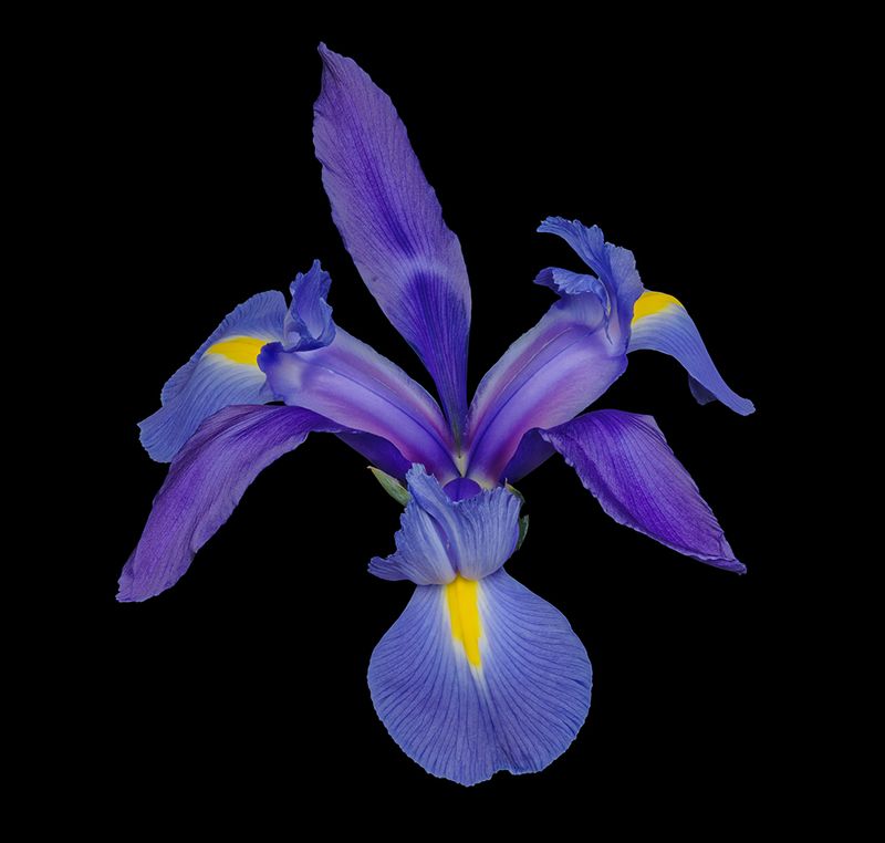 2024-02-04-02.21.15 ZS PMax_openWith.jpg