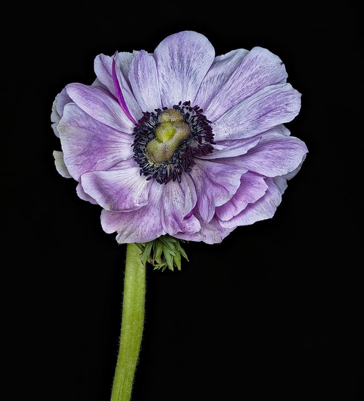 2024-02-10-02.38.39 ZS PMax_openWith.jpg