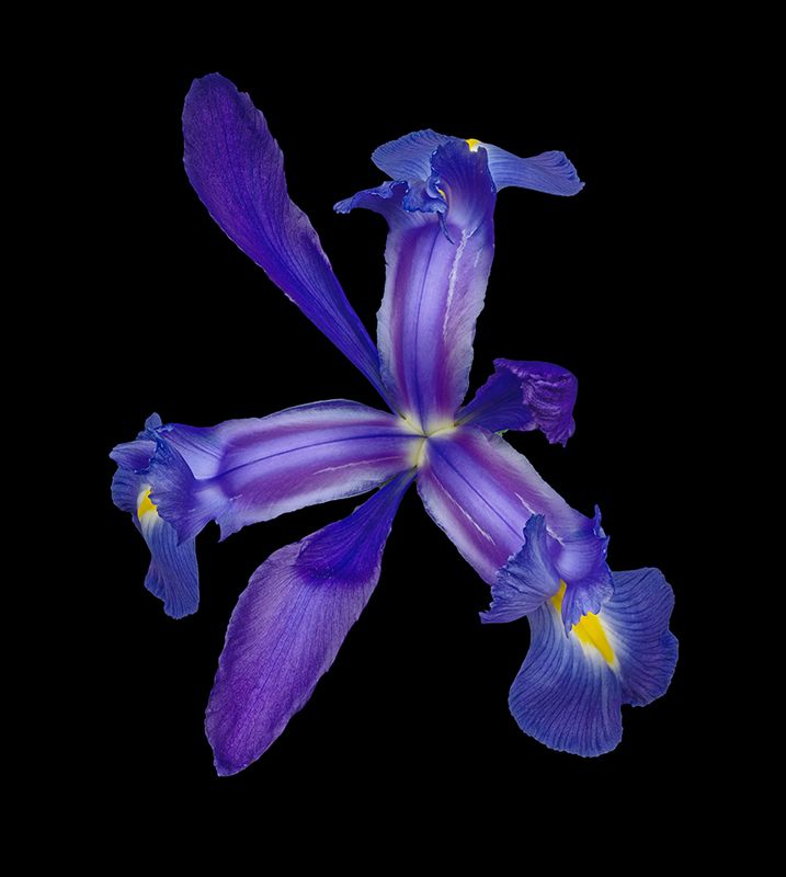 2024-02-21-01.51.54 ZS PMax_openWith.jpg