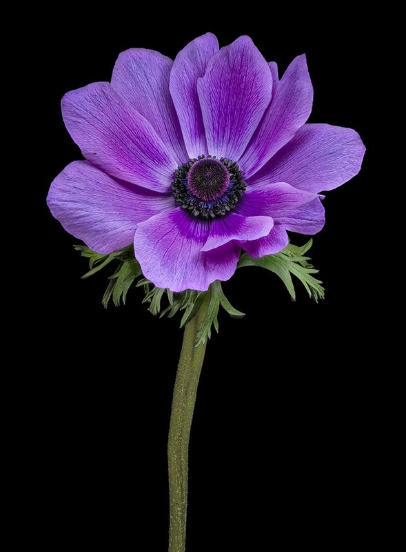 2024-03-29-02.04.52 ZS PMax_openWith.jpg