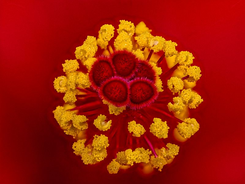 2024-04-28-09.55.29 ZS PMax_openWith.jpg